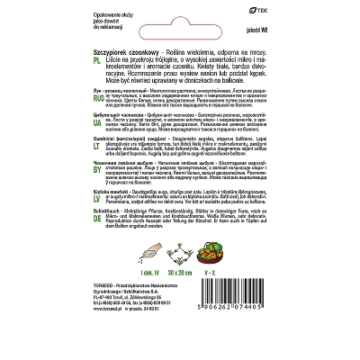 SZCZYPIOREK Czosnkowy Nasiona odporny na mróz